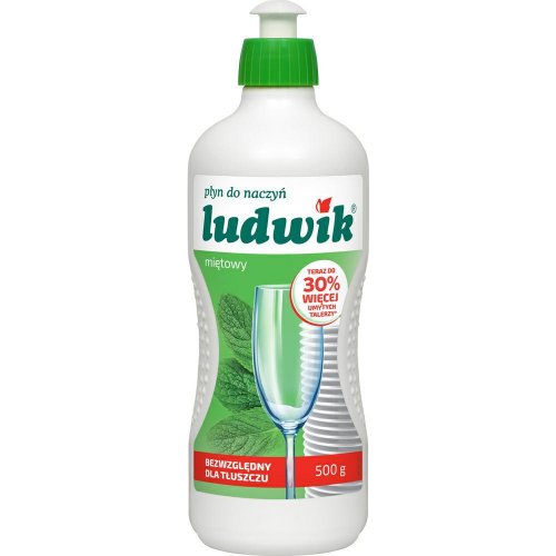 Dishwashing liquid for washing up dishes Ludwik 1l Mint