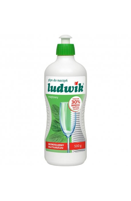 Dishwashing liquids - Dishwashing liquid for washing up dishes Ludwik 1l Mint - 