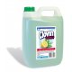 soap - Liquid Soap 5l Lemon Green Tea Clovin - 