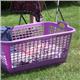 basket_for_mangle_rectangle_violet_2-28090
