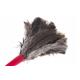 arix_dust_broom_with_ostrich_feather-33480