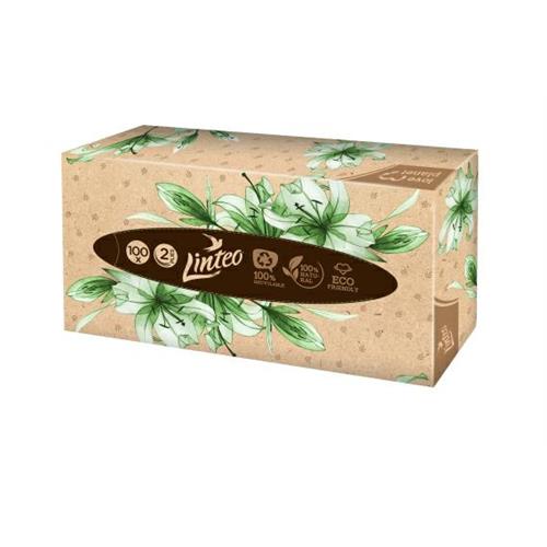 Linteo Tissues 100 pcs Carton